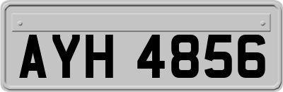 AYH4856