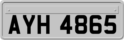 AYH4865