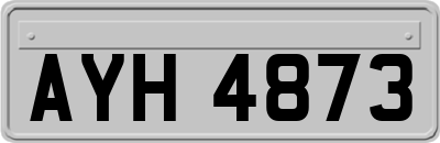 AYH4873