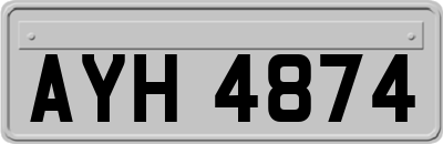 AYH4874