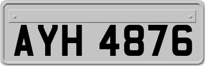 AYH4876