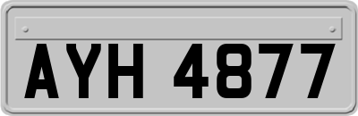 AYH4877