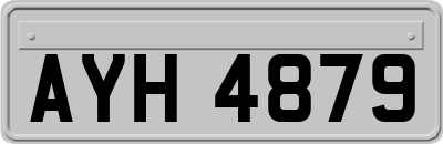 AYH4879