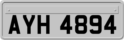 AYH4894