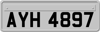 AYH4897