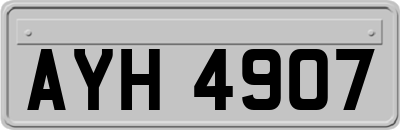 AYH4907