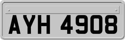 AYH4908