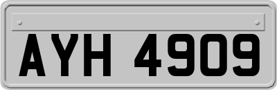 AYH4909