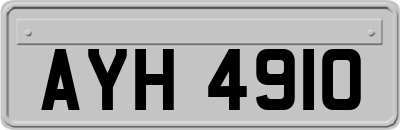 AYH4910