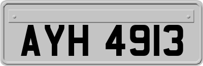 AYH4913