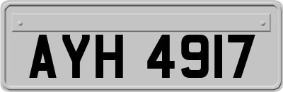 AYH4917