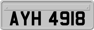 AYH4918