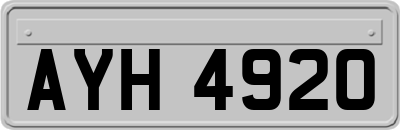 AYH4920