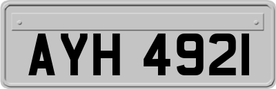 AYH4921