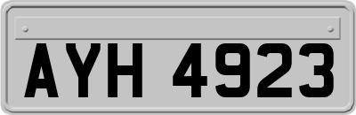 AYH4923