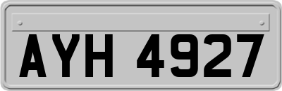 AYH4927