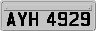 AYH4929