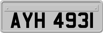AYH4931
