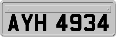 AYH4934