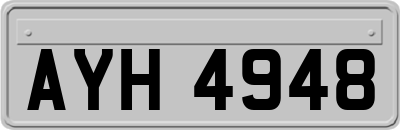 AYH4948