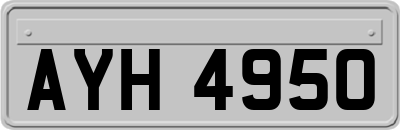 AYH4950