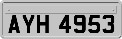 AYH4953