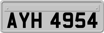 AYH4954