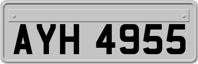 AYH4955