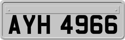AYH4966