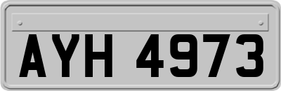 AYH4973