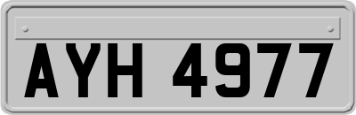 AYH4977