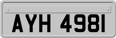AYH4981