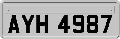 AYH4987