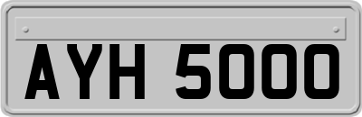 AYH5000