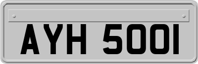 AYH5001