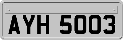 AYH5003