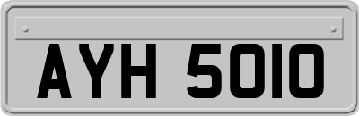 AYH5010