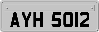 AYH5012