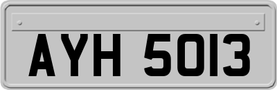 AYH5013