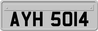 AYH5014