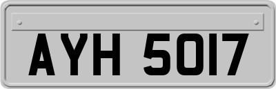 AYH5017