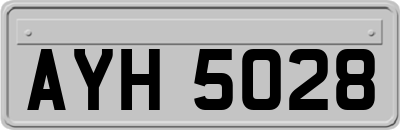 AYH5028