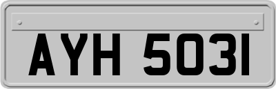 AYH5031