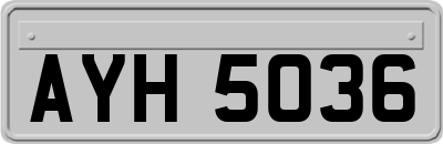 AYH5036