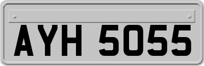 AYH5055