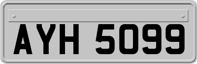 AYH5099