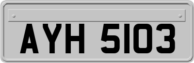 AYH5103