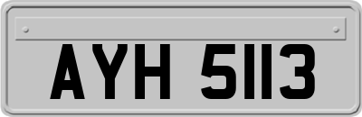 AYH5113