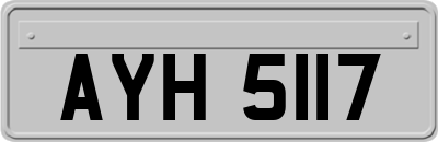 AYH5117