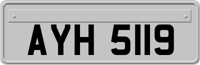 AYH5119